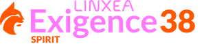 Logo Exigence 38 Spirit